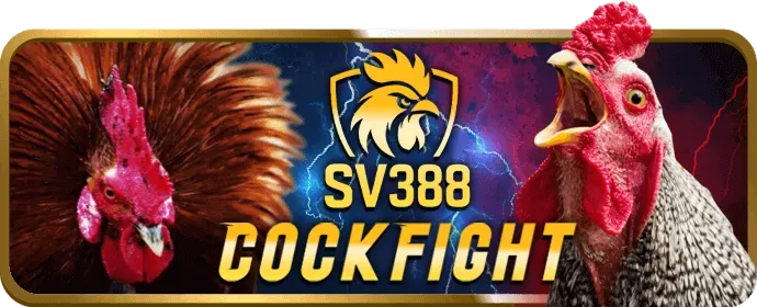 Hỗ trợ khách hàng bong da 888 24/7